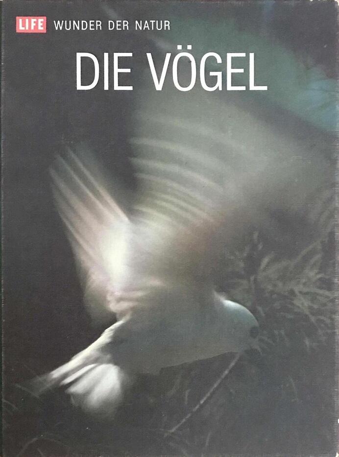 Die Vögel