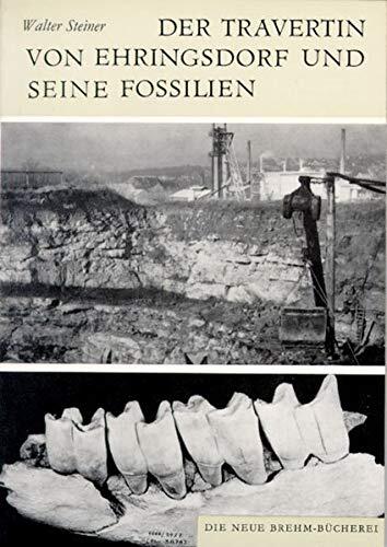 Der Travertin von Ehringsdorf und seine Fossilien