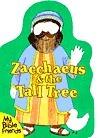 Zacchaeus & the Tall Tree