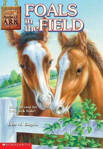 Foals in the Field