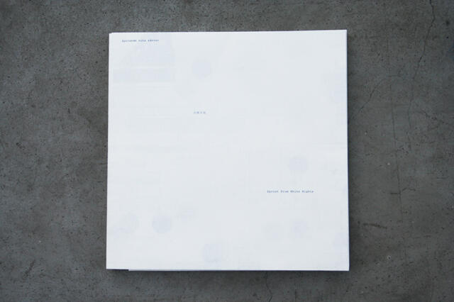 Sprouts from White Nights: A Meeting with Chinese Contemporary Art