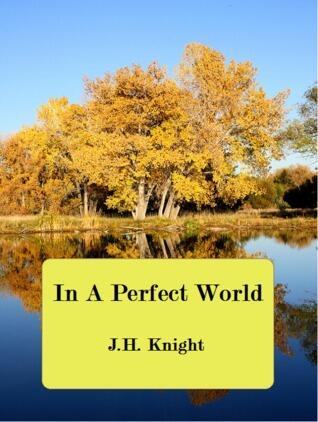In A Perfect World
