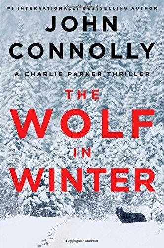 Wolf In Winter
