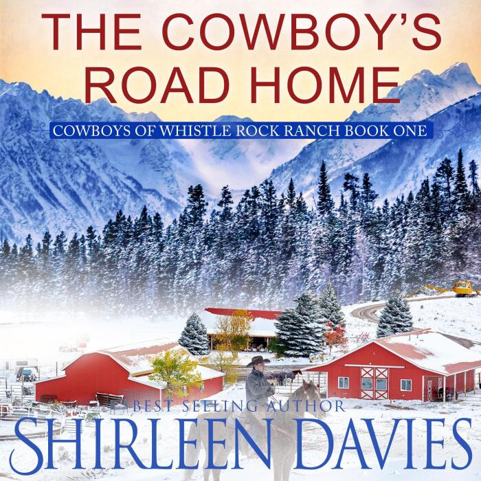 The Cowboy's Road Home