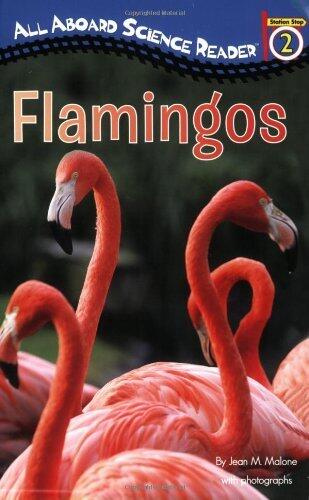 By Jean M. Malone Flamingos (All Aboard Science Reader) [Paperback]