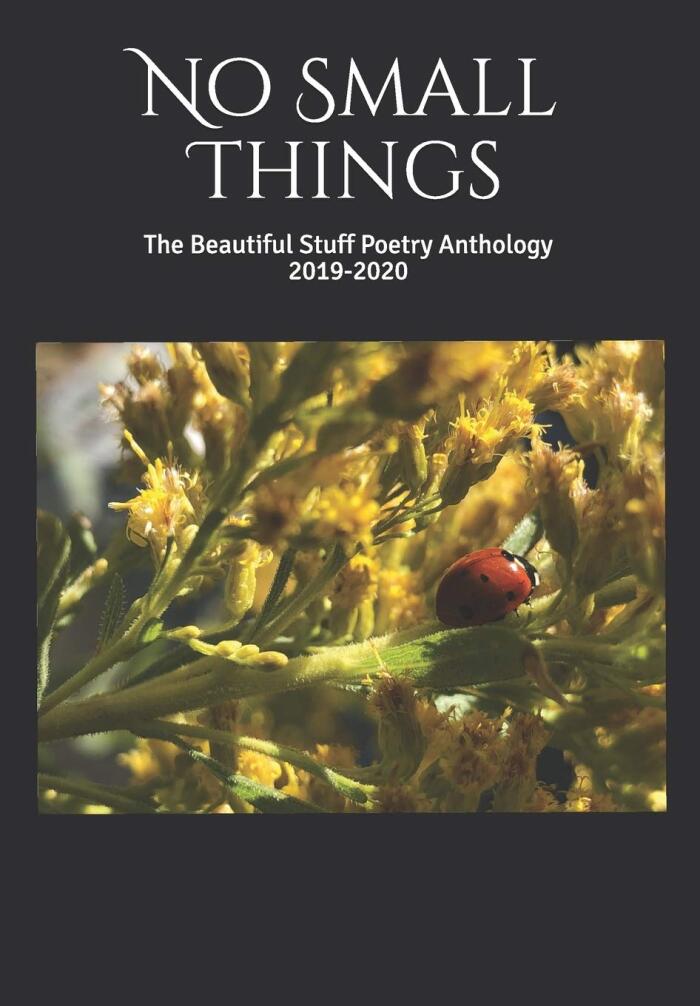 No Small Things: The Beautiful Stuff Poetry Anthology 2019-2020