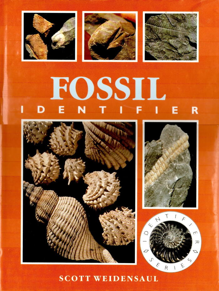 Fossil Identifier
