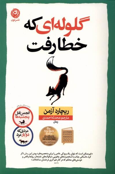 گلوله‌ای که خطا رفت