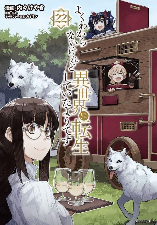よくわからないけれど異世界に転生していたようです 22