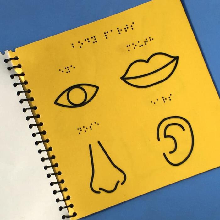 Visual Dictionary Edition - 3