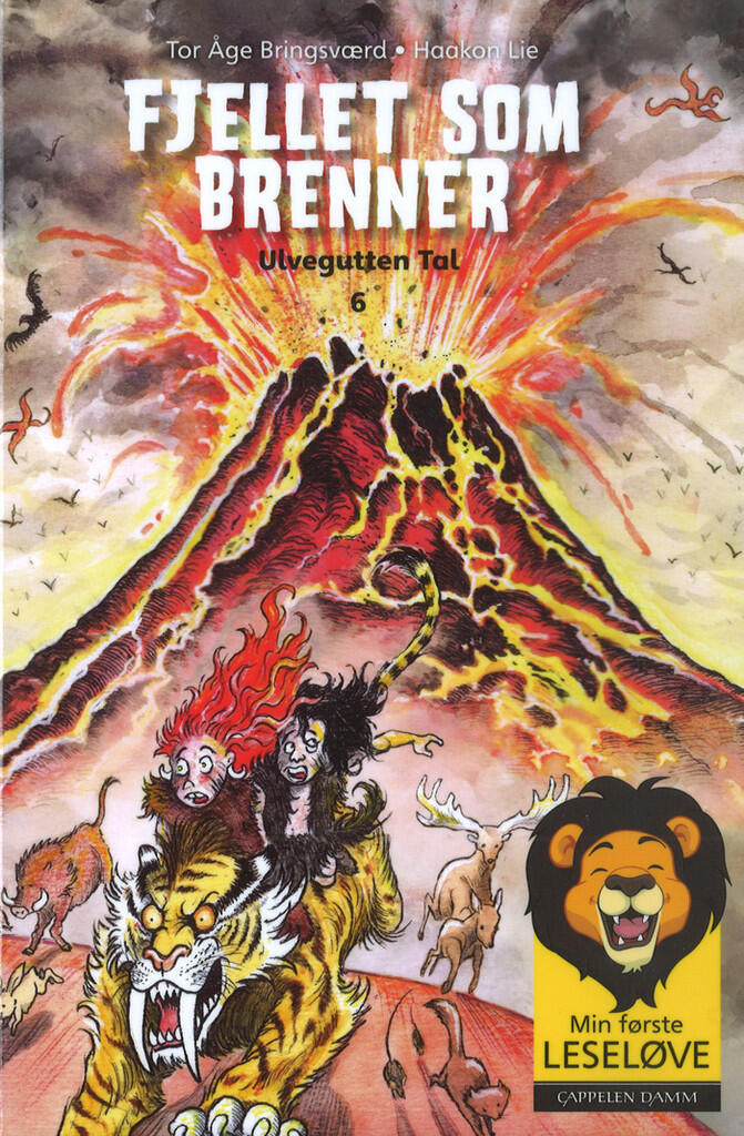 Fjellet som brenner