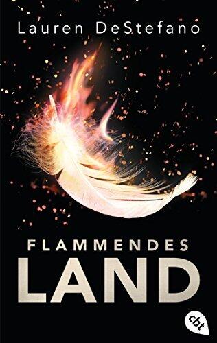 Flammendes Land (Die Chroniken der Fallenden Stadt 2)
