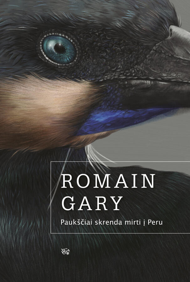 Paukščiai skrenda mirti į Peru