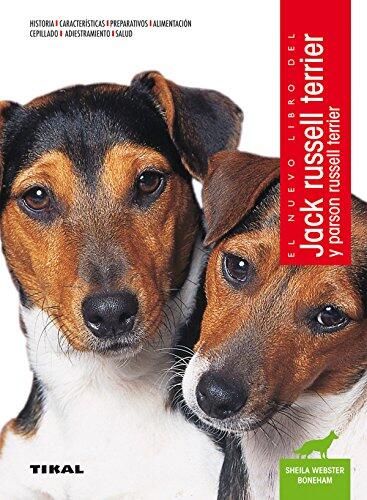 Jack Russell Terrier y Parson Russell Terrier