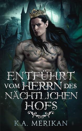 Entführt vom Herrn des Nächtlichen Hofs: Gay Romantasy