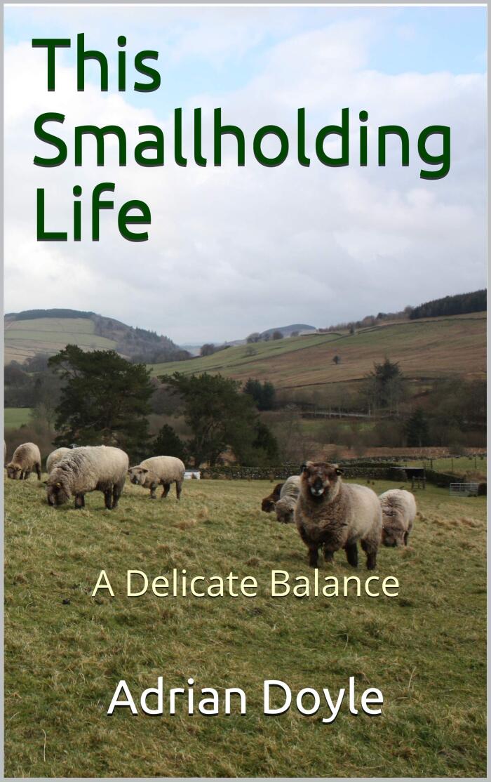 This Smallholding Life: A Delicate Balance