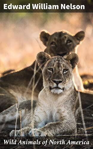 Wild Animals of North America: Intimate Studies of Big and Little Creatures of the Mammal Kingdom