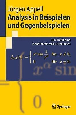 Analysis in Beispielen und Gegenbeispielen: Eine Einführung in die Theorie Reeller Funktionen