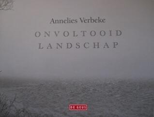Onvoltooid landschap