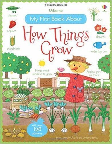 My First Book About How Things Grow