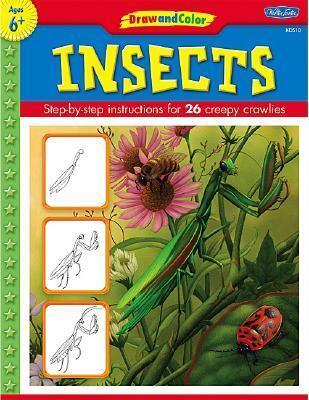Draw And Color Insects: Step-By-Step Instructions for 26 Creepy Crawlies