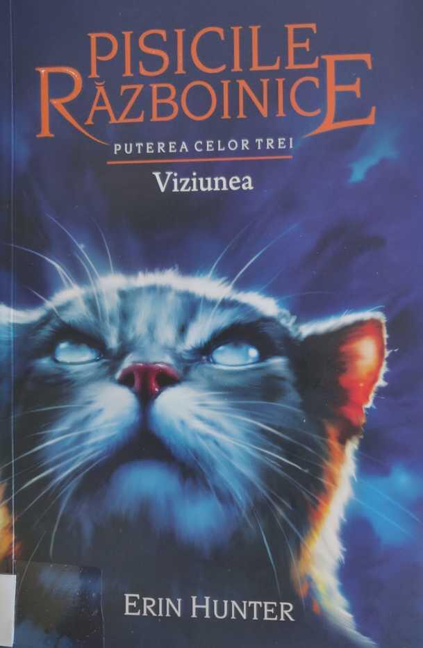 Viziunea