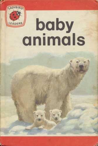 Baby Animals