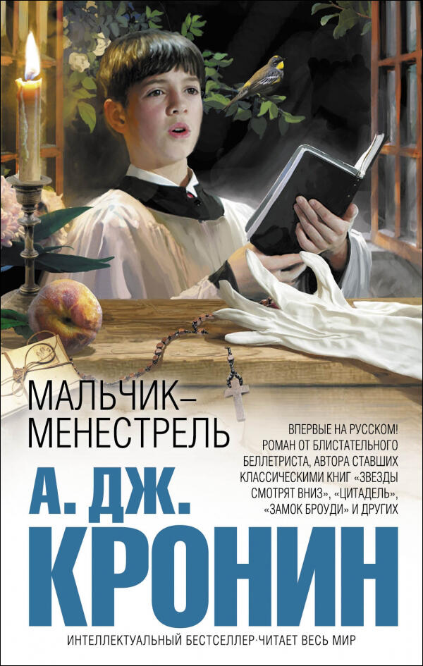 Мальчик-менестрель