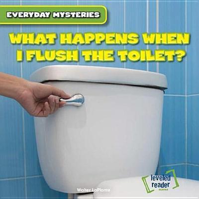 What Happens When I Flush the Toilet?