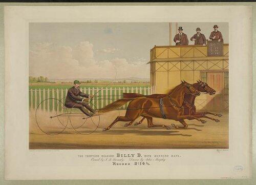 Photo Reprint: The Trotting Gelding Billy D. With Running Mate: Owned by J.B. Barnaby, Driven by John Murphy 1881