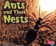 ants-and-their-nests