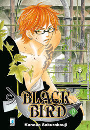 Black bird: 12