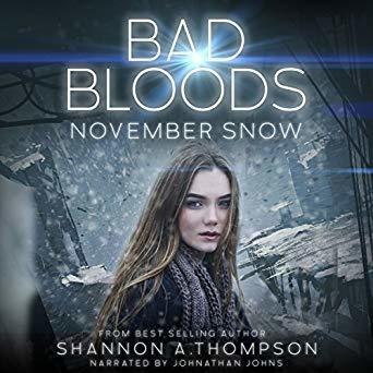 November Snow