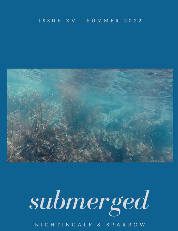 submerged