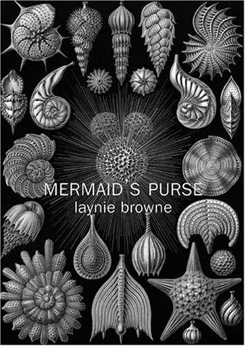 Mermaid's Purse