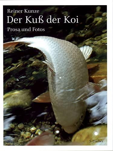 Der Kuß der Koi. Prosa und Photos.