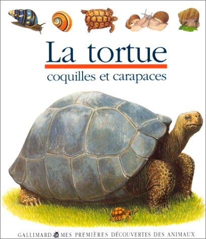 La Tortue: Coquilles et Carapaces
