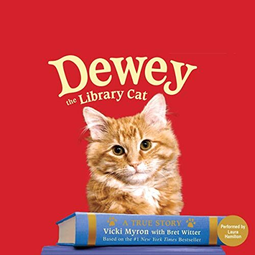 Dewey: The Small-Town Library Cat Who Touched the World
