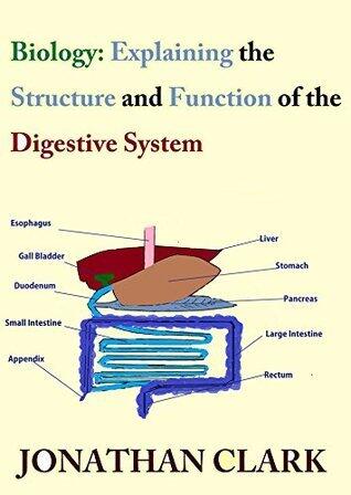 Biology: Understanding the Digestive System