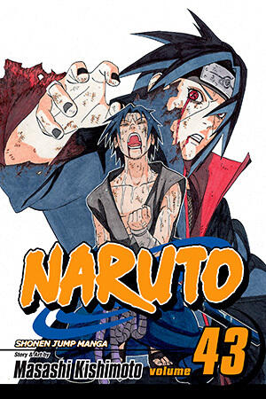 Naruto, Vol. 43:  The Man with the Truth