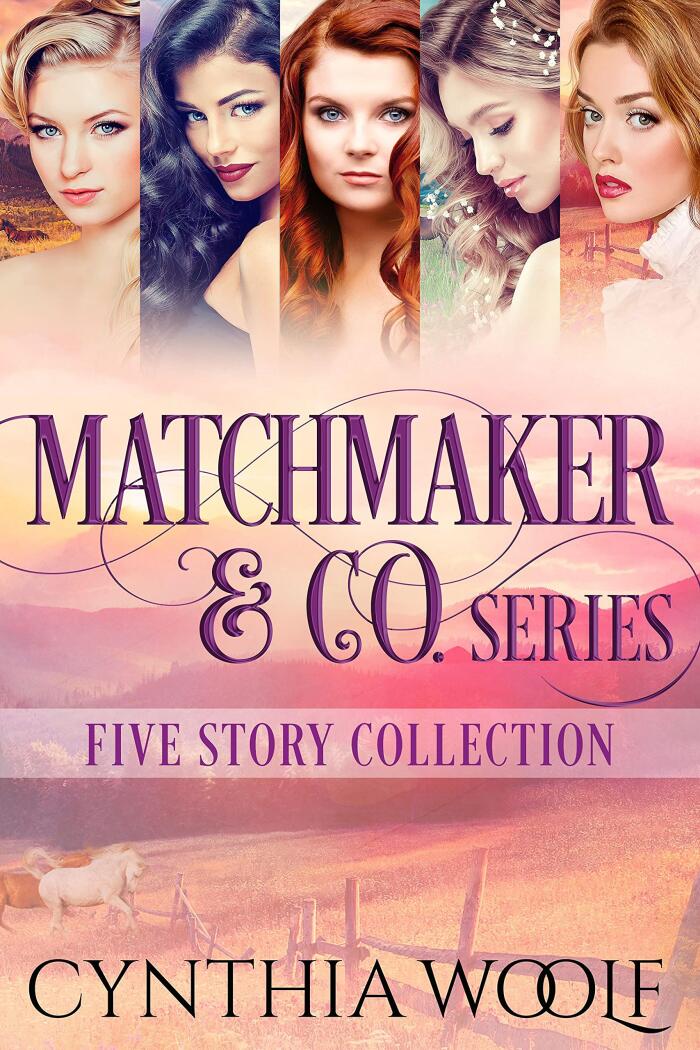 Matchmaker & Co. Series: Five Story Collection