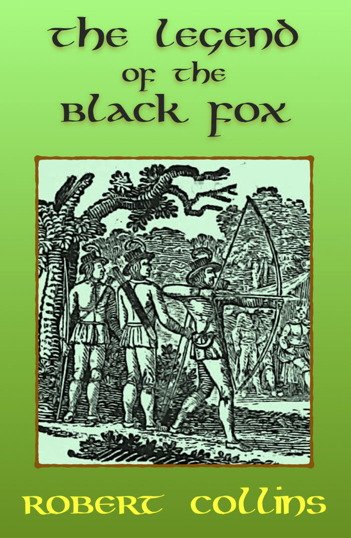 The Defender (ebook)