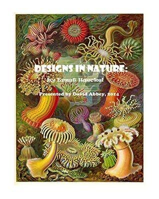 Designs in Nature
