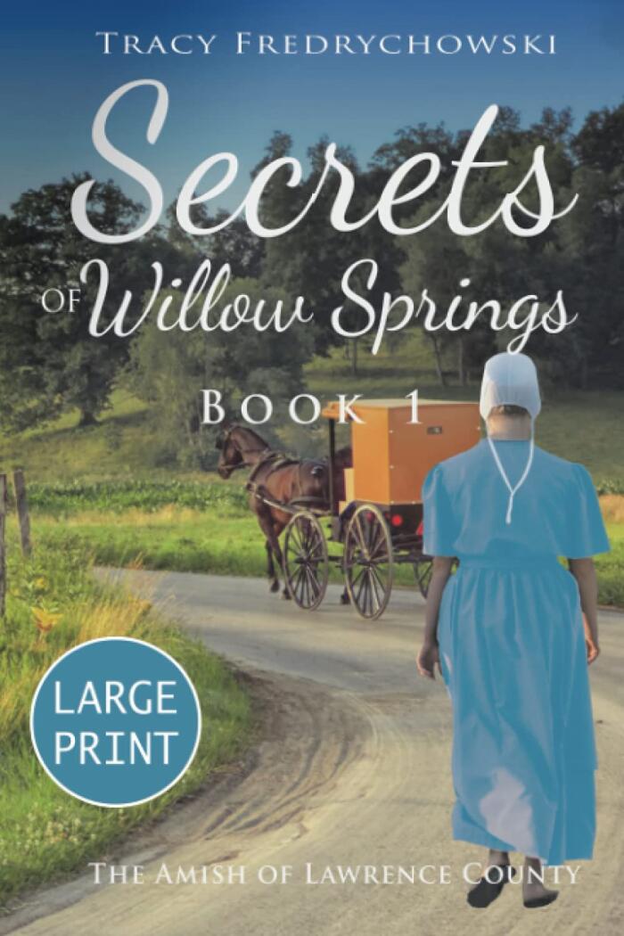 Secrets of Willow Springs - Book 1 (Large Print): The Amish of Lawrence County