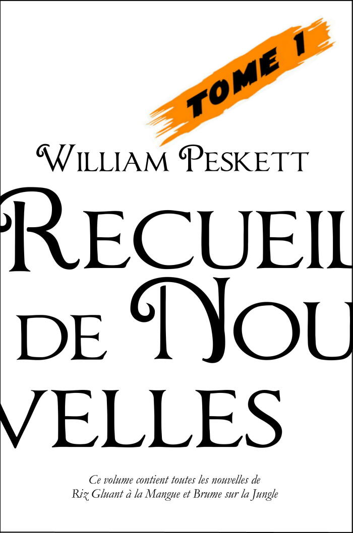 Recueil de Nouvelles Tome 1