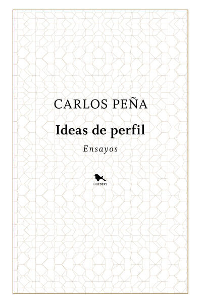 Ideas de perfil