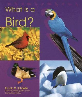 What Is a Bird?