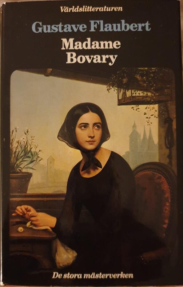 Madame Bovary: Sedeskildring från landsorten