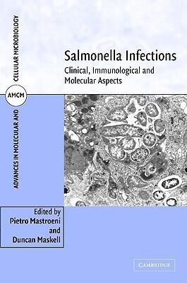 Salmonella Infections: Clinical, Immunological and Molecular Aspects
