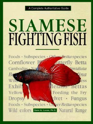 Siamese Fighting Fish